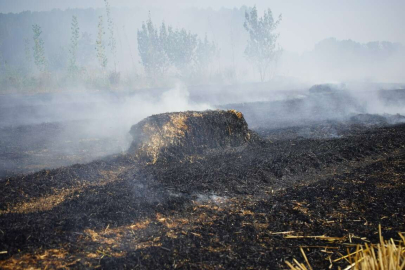 250 SAMAN BALYASI YANDI