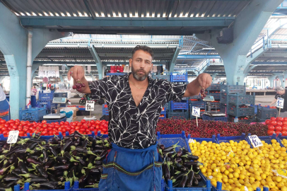 KIŞ HAZIRLIĞINDA VİŞNE REVAÇTA