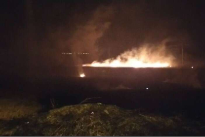 ORMANLIK ALANDA KORKUTAN YANGIN