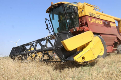 SİYEZ BUĞDAYI HASADI GERÇEKLEŞTİRİLDİ