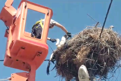 LEYLEK YAVRUSU KURTARILDI