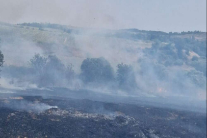 ANIZ YANGININDA 2 DÖNÜM TARLA ZARAR GÖRDÜ