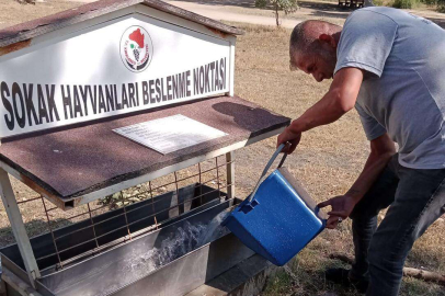 HAYVANLARA SU VE MAMA TAKVİYESİ