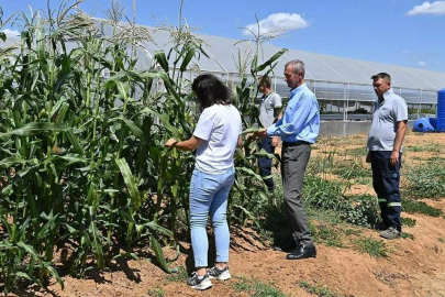 UZUNLAR, PAŞA TARIM VADİSİ’NDE