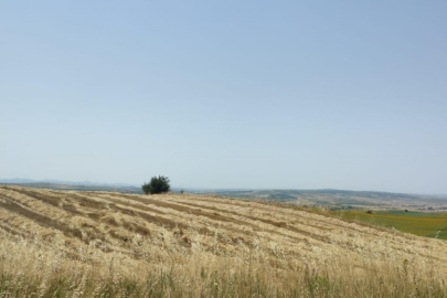 Orman, tarla ve mera vasıflı alanda yapılacak: 2 İLÇEDE 13 KÖYE 46 RÜZGÂR TÜRBİNİ