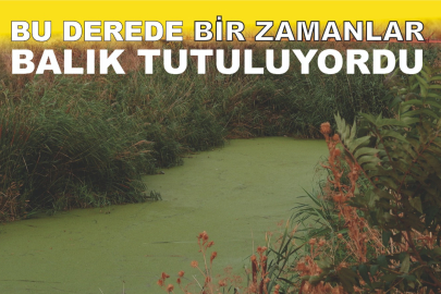 BU DEREDE BİR ZAMANLAR BALIK TUTULUYORDU