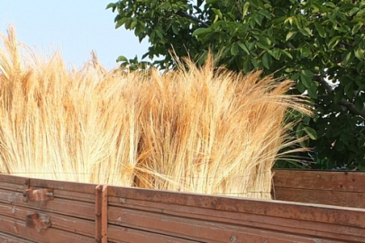 YENİ ÜRÜN SÜPÜRGE TELİ BORSA’DA