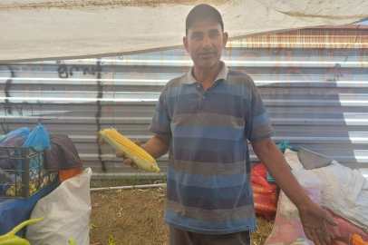 “MISIR ELİMİZDE KALDI”