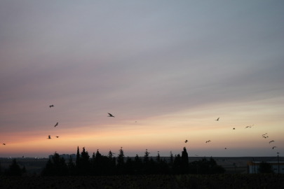 AYDINLATMA DİREKLERİNİ SÜSLEDİLER