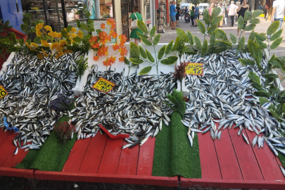 İLK BALIKLAR TEZGAHTA, FİYATLAR MAKUL