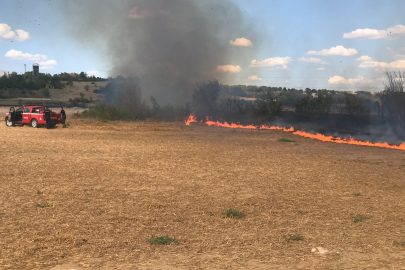 EDİRNE’DE ANIZ YANGINI