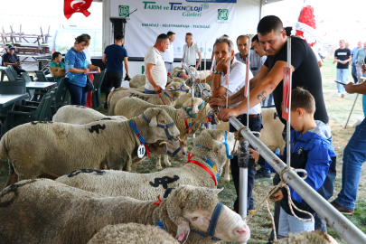 "KOÇ GÜZELLİK YARIŞMASI" YAPILDI