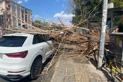 OTOMOBİLİN ÜSTÜNE AĞAÇ DEVRİLDİ