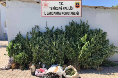 HASAT DEĞİL JANDARMA OPERASYONU