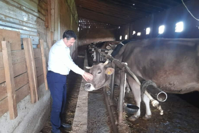 “YERLİ HAYVANCILIĞI DESTEKLEMELİYİZ”