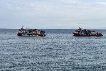 2025-2026 Su Ürünleri Av Sezonu İçin Hamsi Kotası Açıklandı