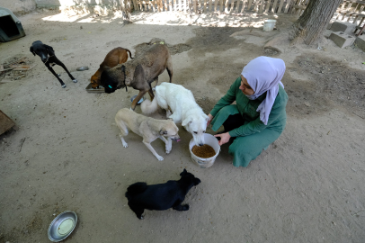 EVİNİN KAPILARINI SAHİPSİZ HAYVANLARA AÇTI