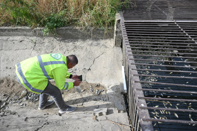 BALIKLAR OKSİJENSİZ KALIP ÖLMÜŞ