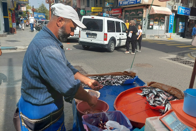 HAMSİ BOLLAŞTI: KİLOSU 50 LİRA