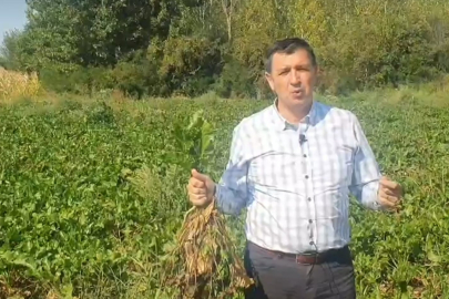 “PANCAR ÇİFTÇİSİ DE YOK SAYILDI”