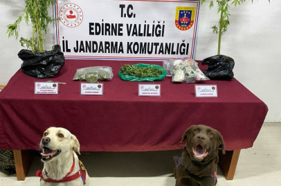 EDİRNE'DE UYUŞTURUCU OPERASYONU