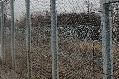 SİTENİN TEL ÖRGÜSÜNE ÇARPTI