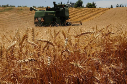 EDİRNE TİCARET BORSASI FİYATLARI AÇIKLADI