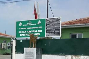 SAHİPSİZ SOKAK HAYVANLARI İÇİN REHABİLİTASYON PROJESİ