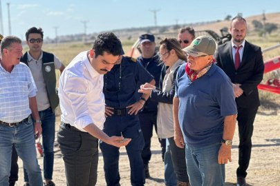 ENEZ’DE ÇELTİK HASADI BAŞLADI