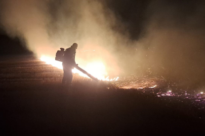 EDİRNE'DE ANIZ YANGINI