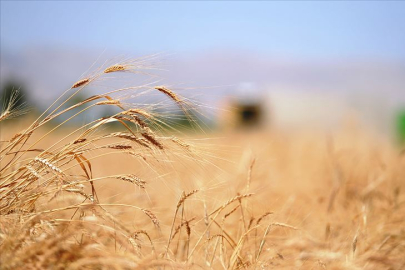 EDİRNE TİCARET BORSASI FİYATLARI AÇIKLADI