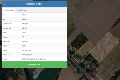 İSTASYON MAHALLESİNDE KURU TARIM ARAZİSİ SATIŞTA
