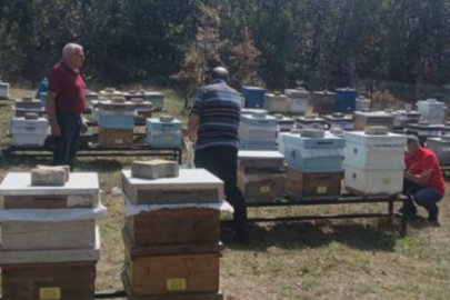 BAL ÜRETİCİLERİNE DENETİM