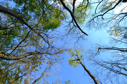 SONBAHAR LONGOZ’DA BİR BAŞKA