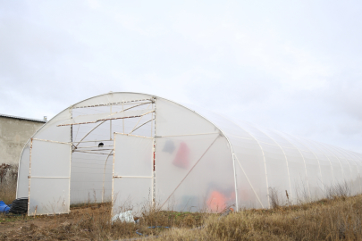 269 sera, naylon desteğiyle üretime kazandırıldı