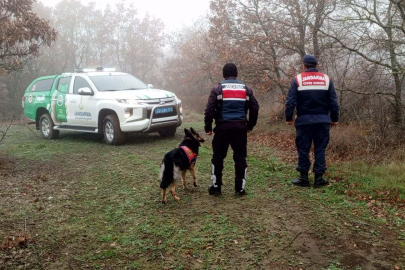 Meriç’te avcılar denetlendi
