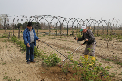 Örnek bahçeyi görüp üretime başladılar