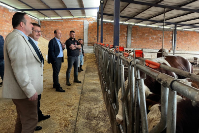 Tarım ve Orman Müdürü Öcal'dan üretici ziyareti