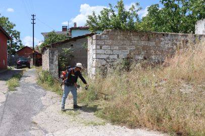 Vize’de Yabani Ot Temizliği