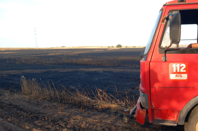 Edirne'de 105 Dönüm Buğday Ekili Alan Yandı