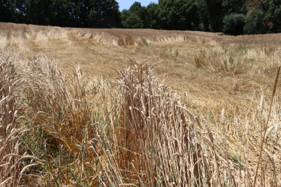 Kırklareli'nde Hasar Tespit Çalışmaları Tamamlandı