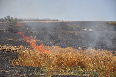 Kırklareli'nde 100 Dekarlık Buğday Ekili Alan Yandı
