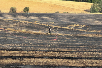 Biçerdöverin Kıvılcımı Tarlayı Yaktı