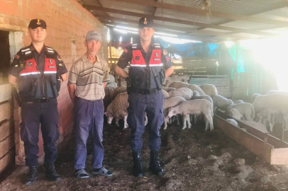 Kaybolan 62 Küçükbaş Hayvan Sahibine Teslim Edildi