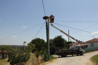Tekirdağ'da Leylek Yuvalarının Bakımları Yapıldı
