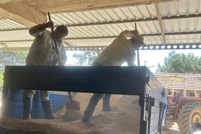 Edirne’de Çiftçinin Buğday Mesaisi Devam Ediyor