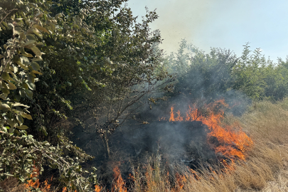 Edirne'de Çıkan Orman Yangınına Müdahale Ediliyor