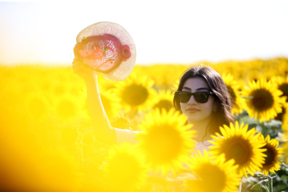Trakya'da "Gündöndü" Tarlaları Agro Turizmine Katkı Sunuyor