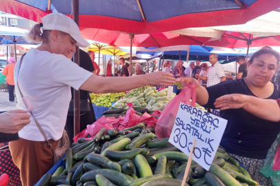 Yerli Salatalık Tezgahta