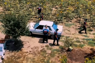 Tekirdağ'da Hazine Arazisine Kenevir Eken Şahıs Yakalandı